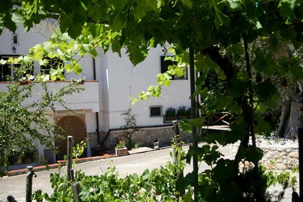 Agriturismo Parco Dai Nonni Ischitella Exterior foto